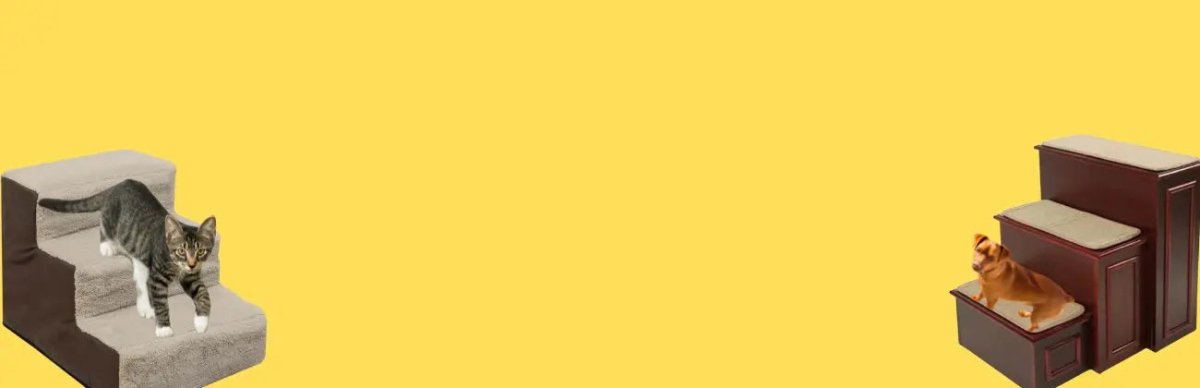 Dog Steps and Ramps - Talis Us