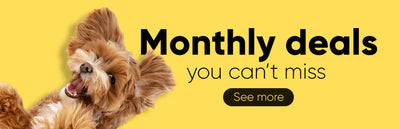 Monthly Deals You Can’t Miss - Talis Us