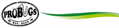 Probugs eco fresh insects