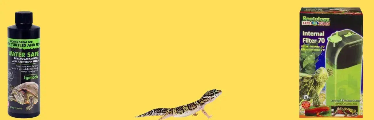 Reptile Water Supplies