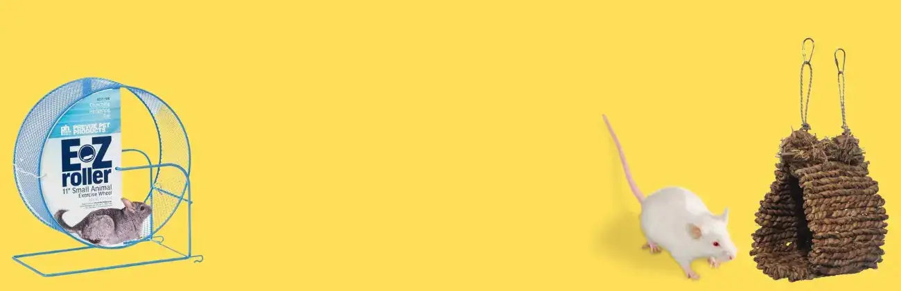 Small Animal Accessories