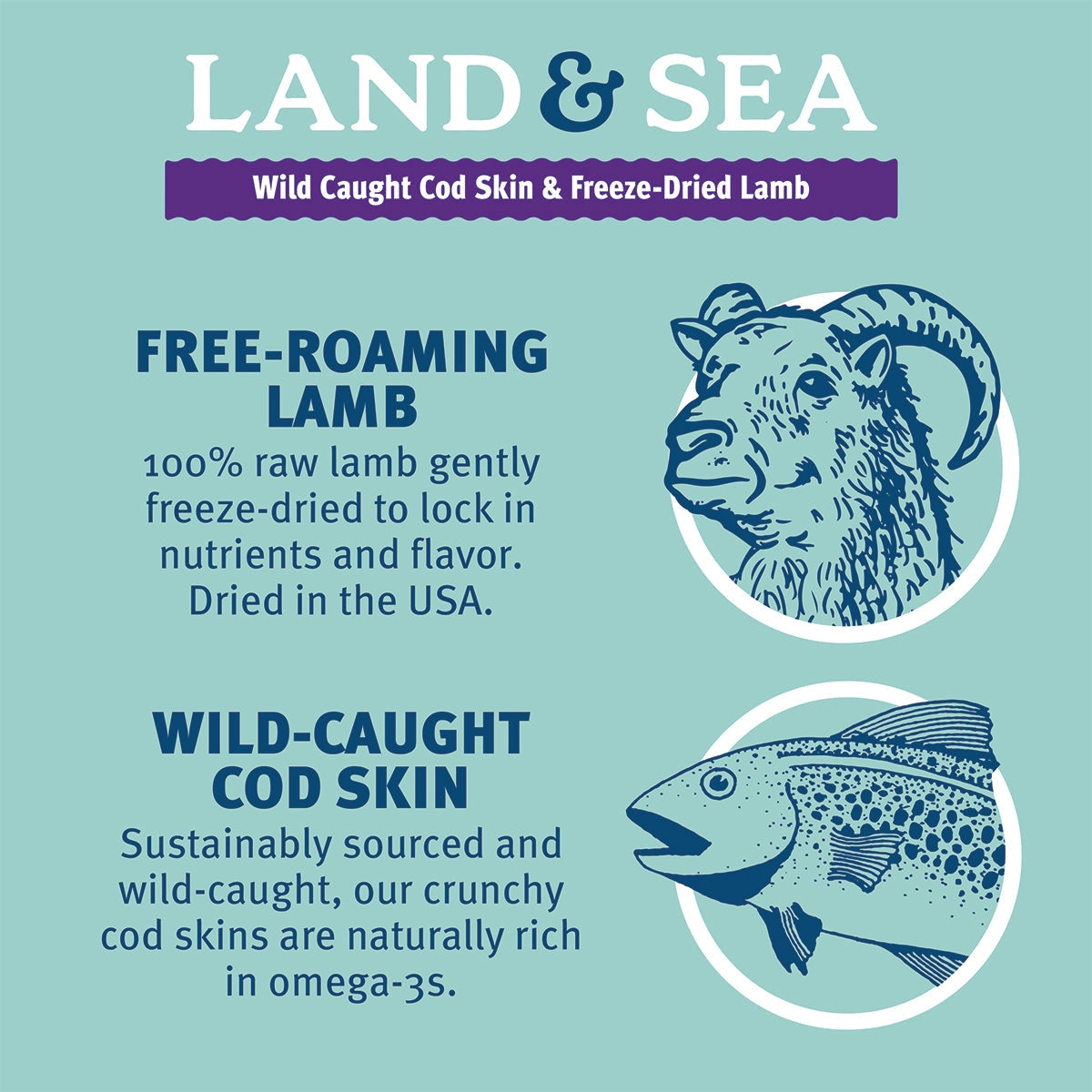 Infographic features a ram and fish, spotlighting Icelandic+ Land & Sea Cod Skin & Freeze-Dried Lamb Dog Treats. These naturally sourced treats are rich in omega-3 fatty acids to support your dog’s health.