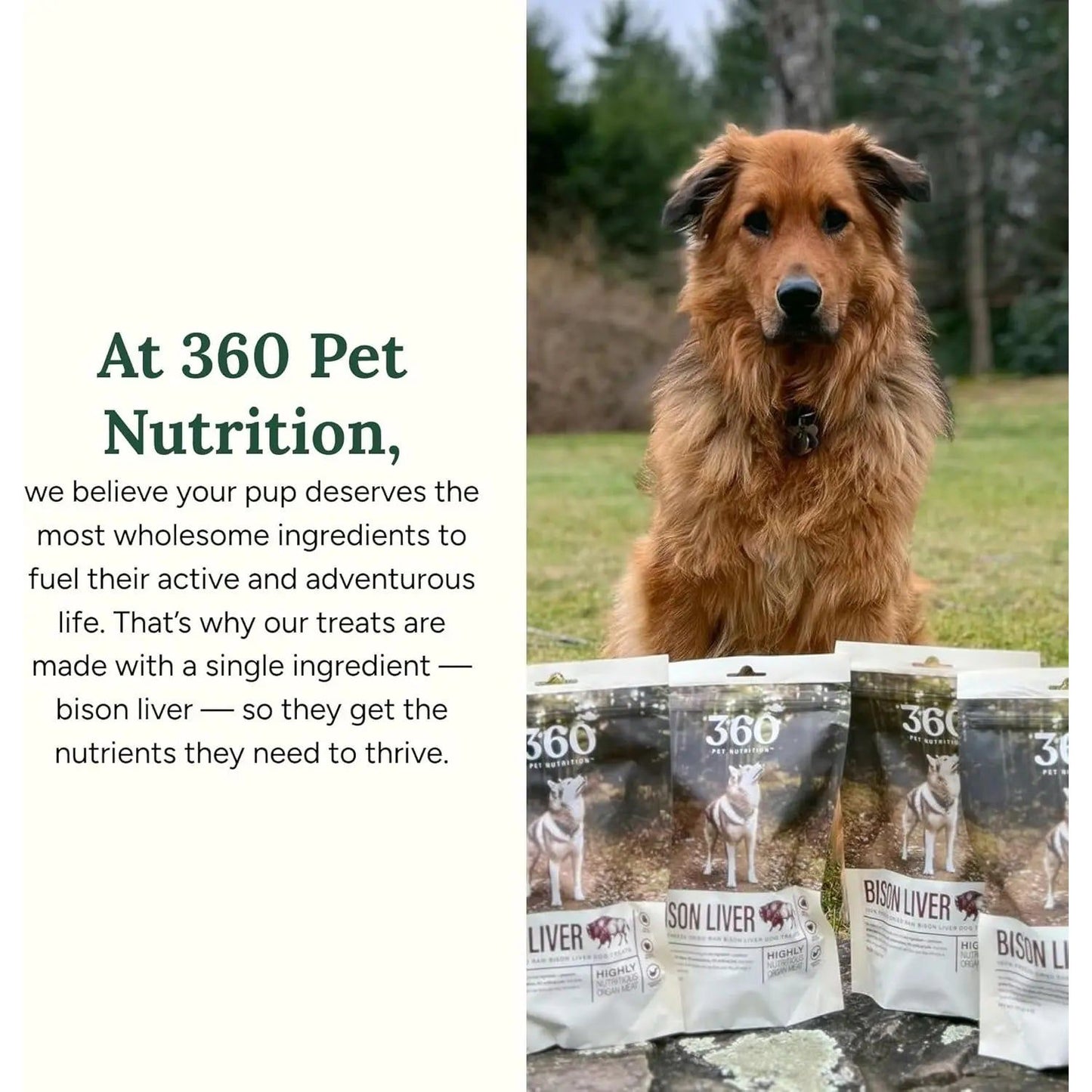 360 Pet Nutrition Bison Liver Grain-Free Freeze-Dried Dog Treats 4oz 360 Pet Nutrition