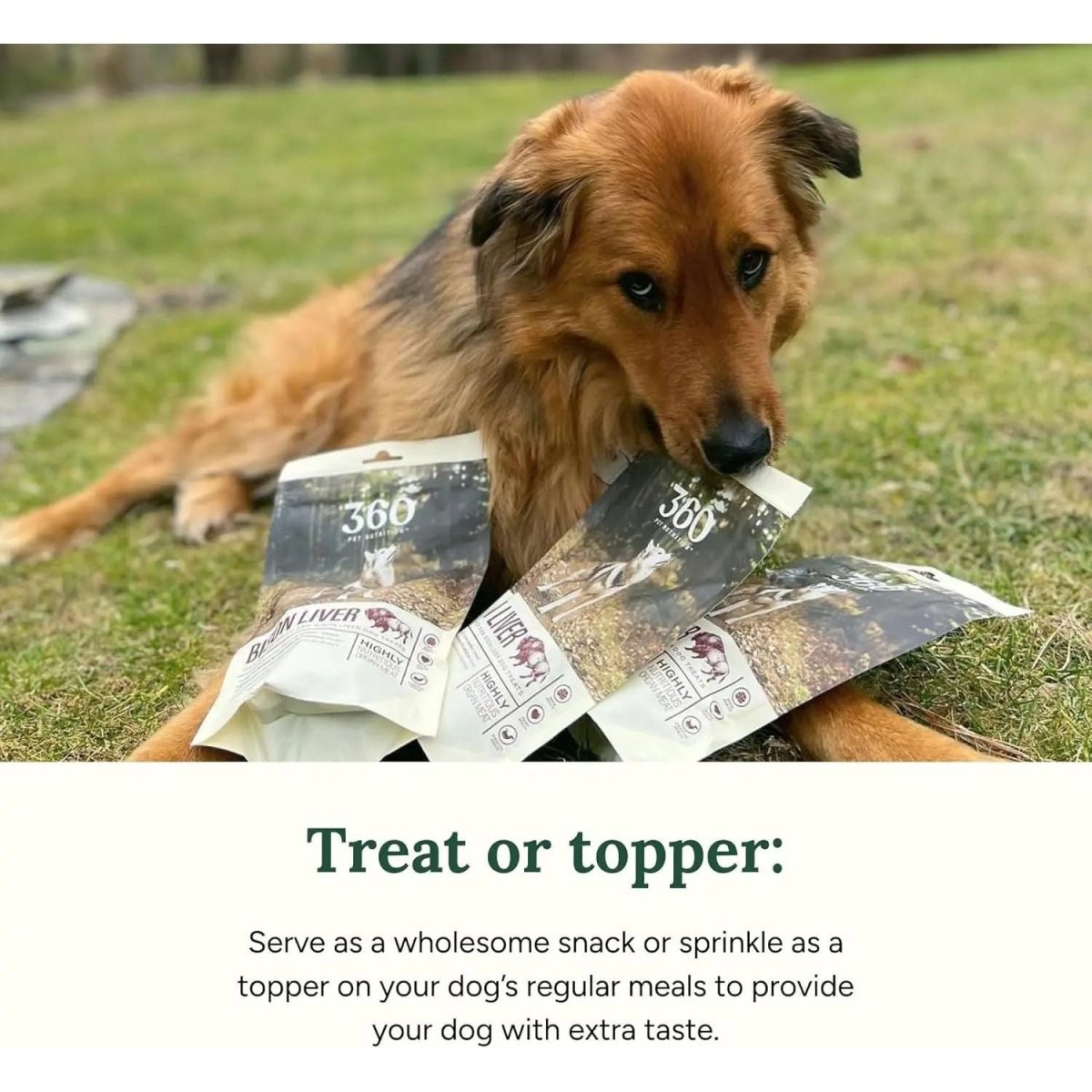 360 Pet Nutrition Bison Liver Grain - Free Freeze - Dried Dog Treats 4oz - Talis Us