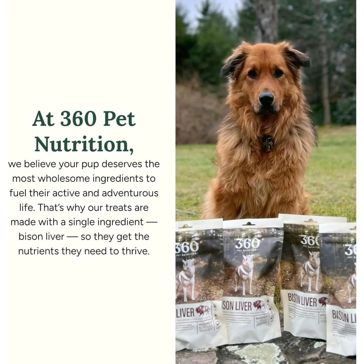 360 Pet Nutrition Bison Liver Grain - Free Freeze - Dried Dog Treats 4oz - Talis Us