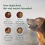 360 Pet Nutrition Raw Formula Multi - Protein Grain - Free Adult Freeze - Dried Dog Food - Talis Us