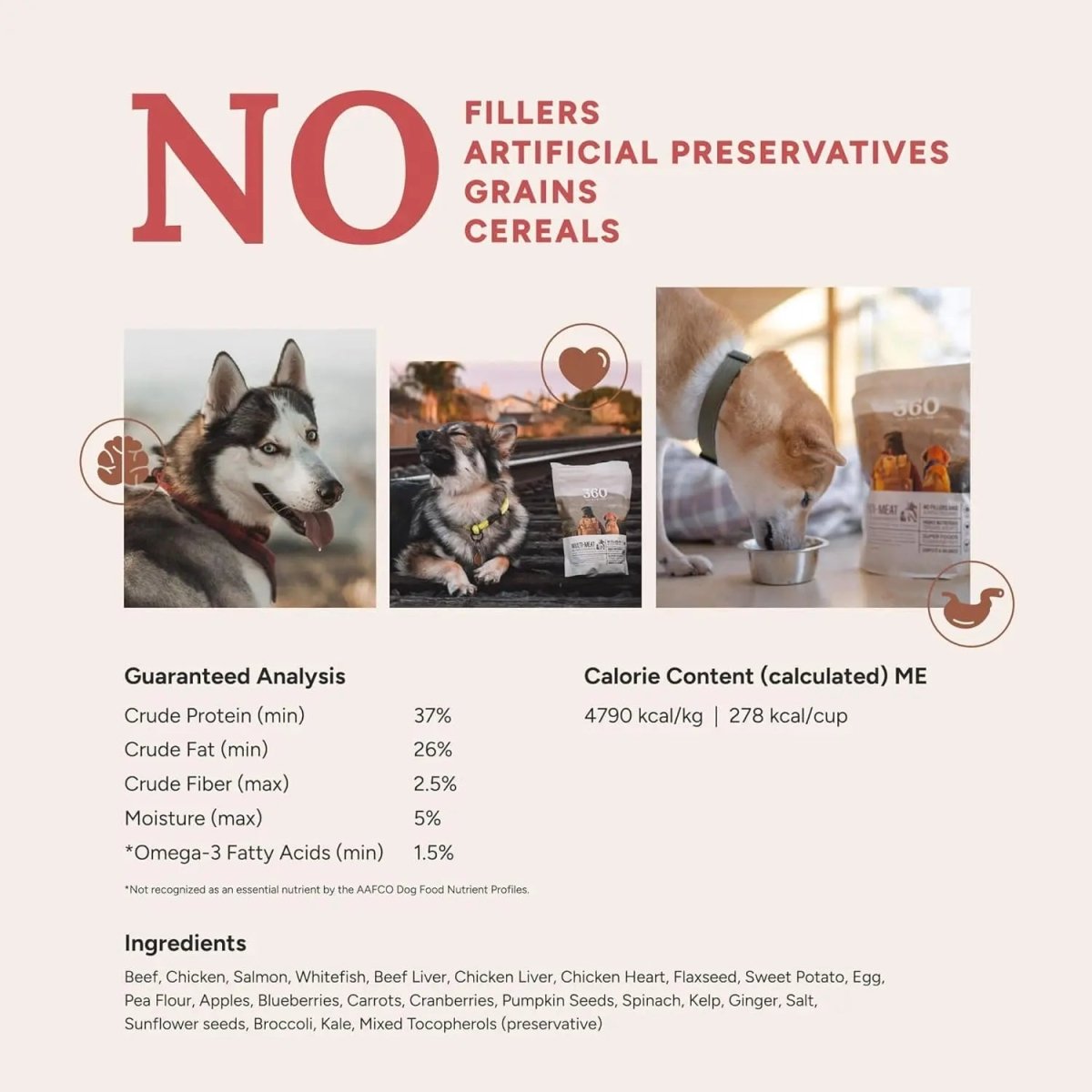 360 Pet Nutrition Raw Formula Multi - Protein Grain - Free Adult Freeze - Dried Dog Food - Talis Us