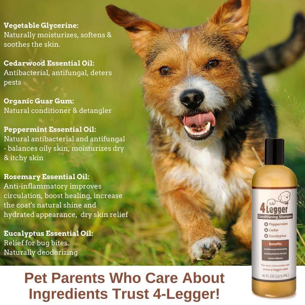 Natural cedar dog shampoo by 4-Legger in a bottle with ingredients benefits for healthy pet care