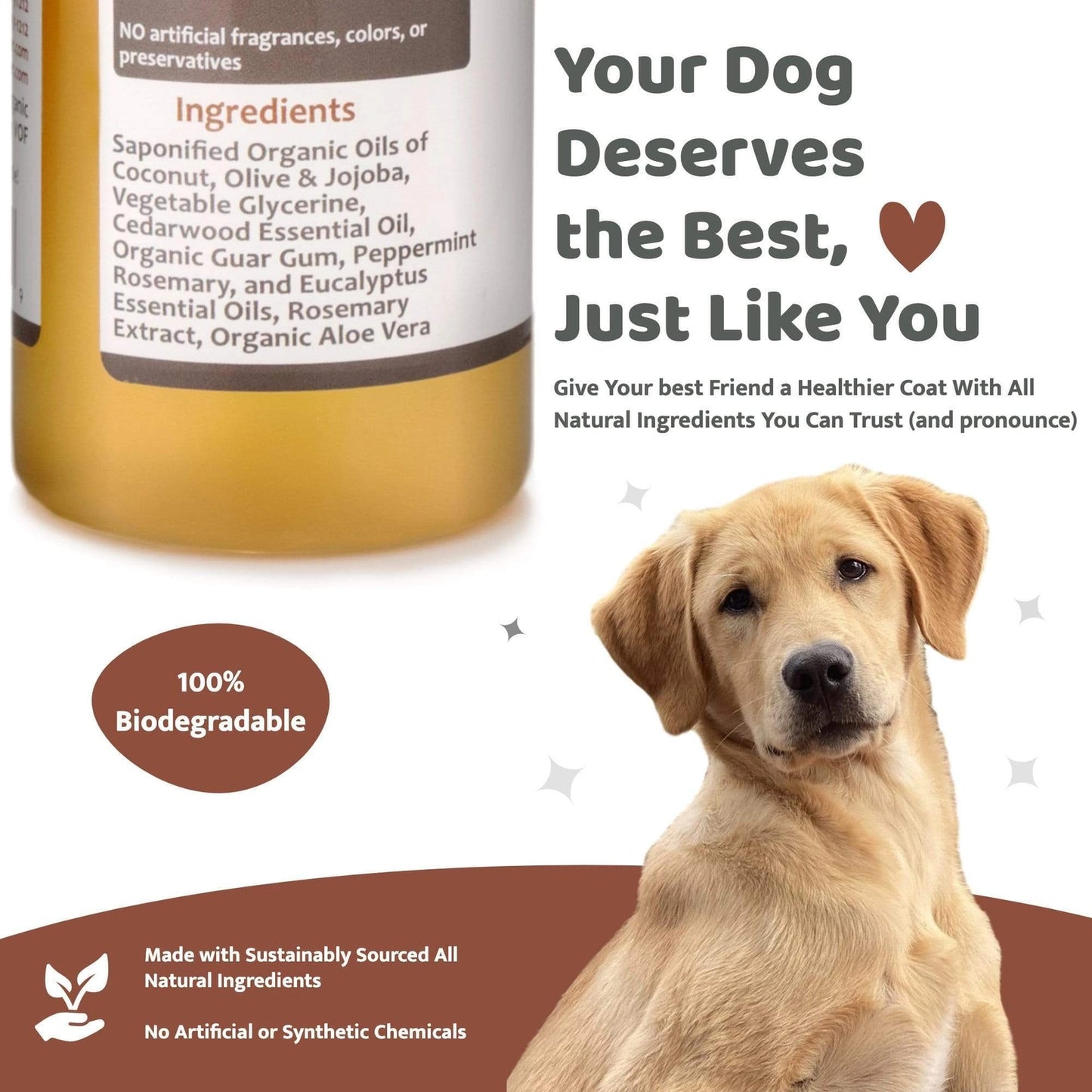 Natural cedar dog shampoo with biodegradable ingredients for a healthy coat and eco-friendly care