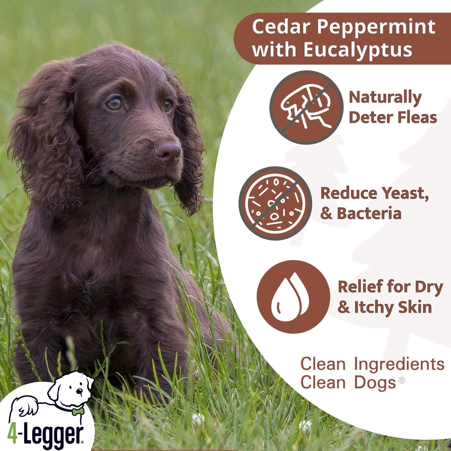 Natural cedar dog shampoo with eucalyptus, promoting clean skin and reducing fleas for dogs