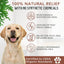Natural cedar dog shampoo for moisturizing and soothing dry skin, with cedar and peppermint essential oils