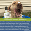 4-Legger organic hypoallergenic dog shampoo bottle with a happy dog showing clean fur outdoors