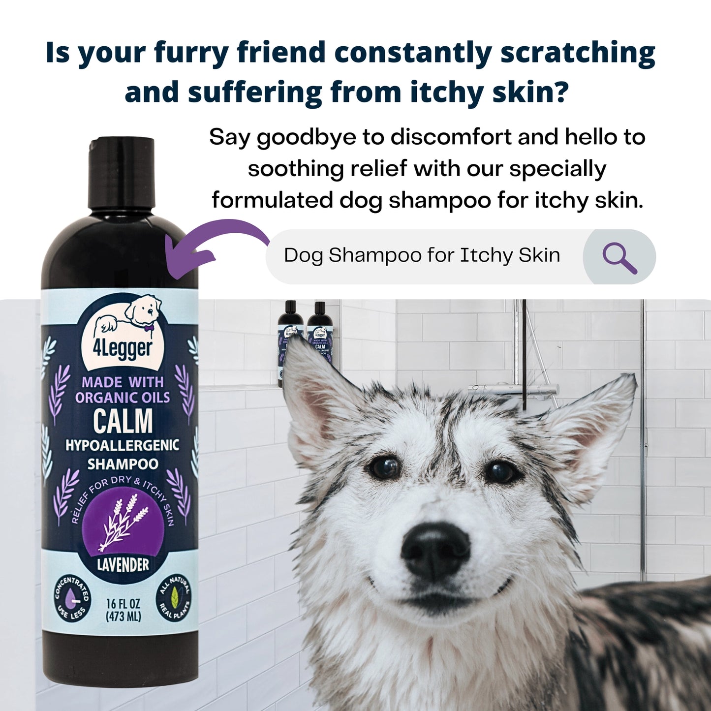 4-Legger organic lavender dog shampoo in a 16 oz bottle for soothing itchy skin relief