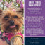 4-Legger Organic Lavender Dog Shampoo for soft, fresh-smelling pets with clean ingredients