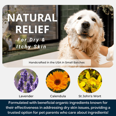 4-Legger organic lavender dog shampoo for natural relief of dry and itchy skin with beneficial ingredients
