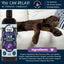4-Legger organic lavender dog shampoo bottle with a relaxed dog laying beside it