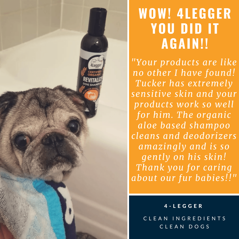 4-Legger organic neem dog shampoo in a bottle, promoting skin sensitivity care for dogs