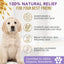 4-Legger Organic Oatmeal Dog Shampoo for moisturizing and soothing dry skin in pets