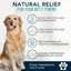 4-Legger organic tea tree oil dog shampoo for natural relief of itchy, red, and inflamed skin