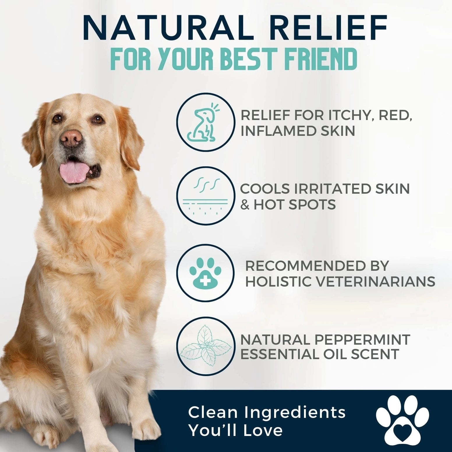 4-Legger organic tea tree oil dog shampoo for natural relief of itchy, red, and inflamed skin