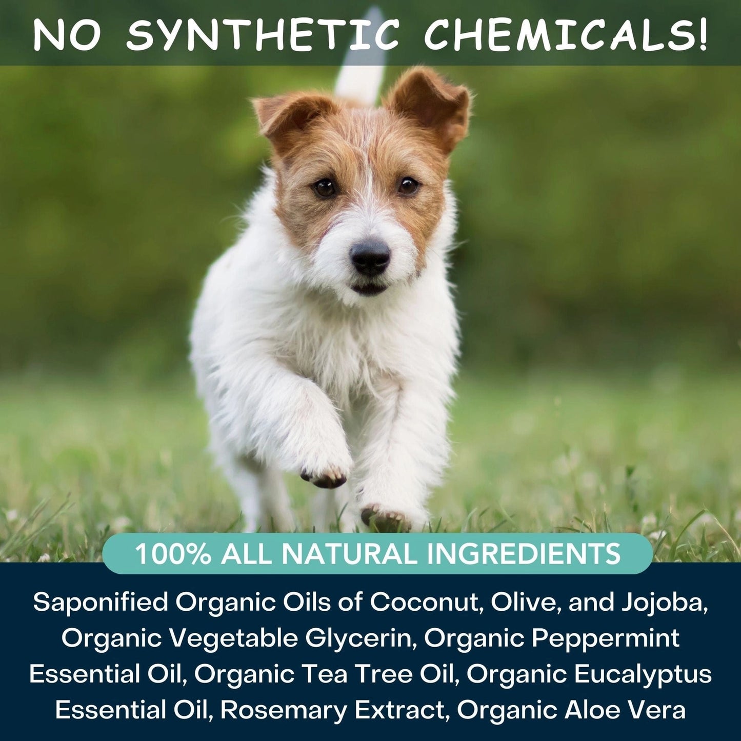 4-Legger organic tea tree oil dog shampoo featuring a happy puppy and natural ingredients for pet care
