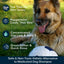 4-Legger organic tea tree oil dog shampoo promotes skin health with peppermint cooling effects and great lather