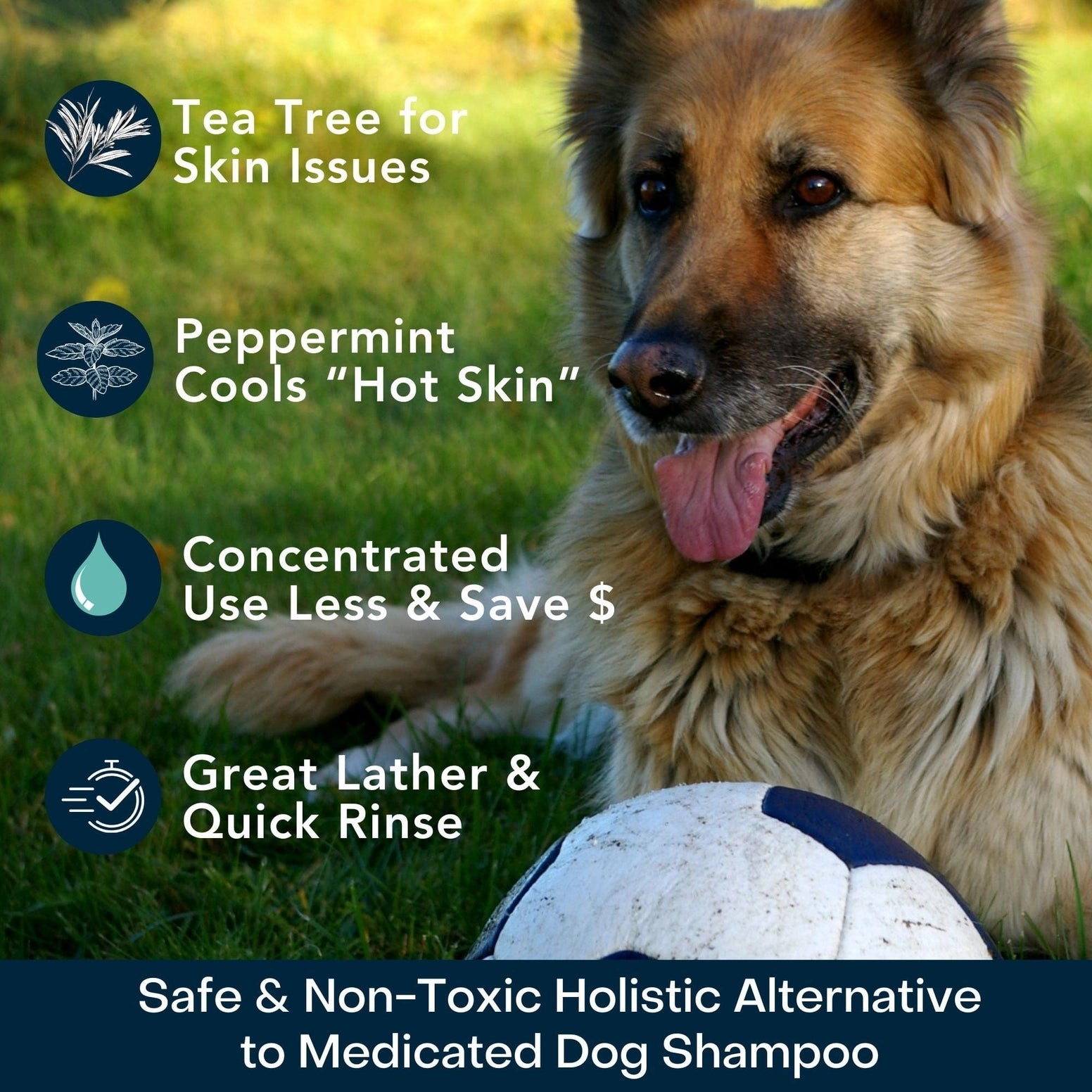 4-Legger organic tea tree oil dog shampoo promotes skin health with peppermint cooling effects and great lather
