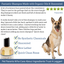 4-Legger Unscented Hypoallergenic Dog Shampoo with Organic Oils for a Gentle Clean