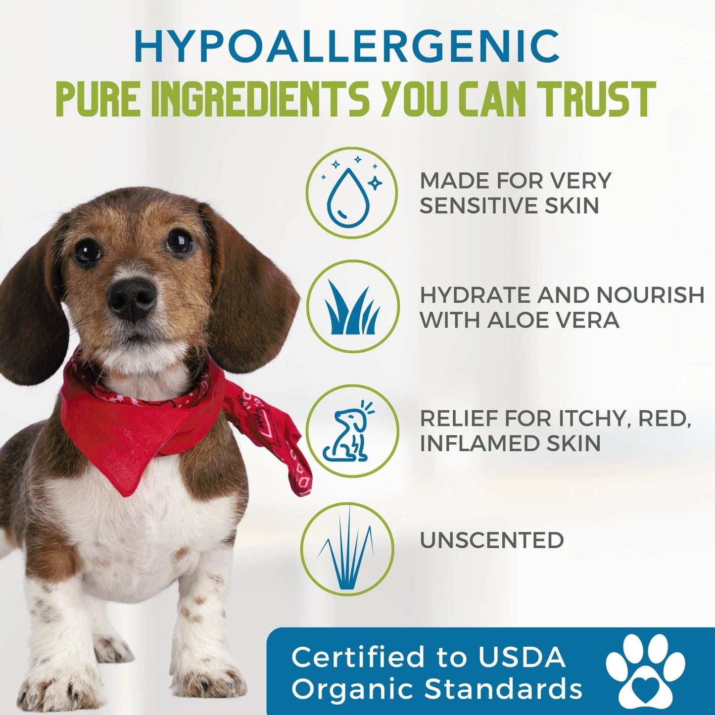 4-Legger unscented hypoallergenic dog shampoo with aloe vera for sensitive skin care.