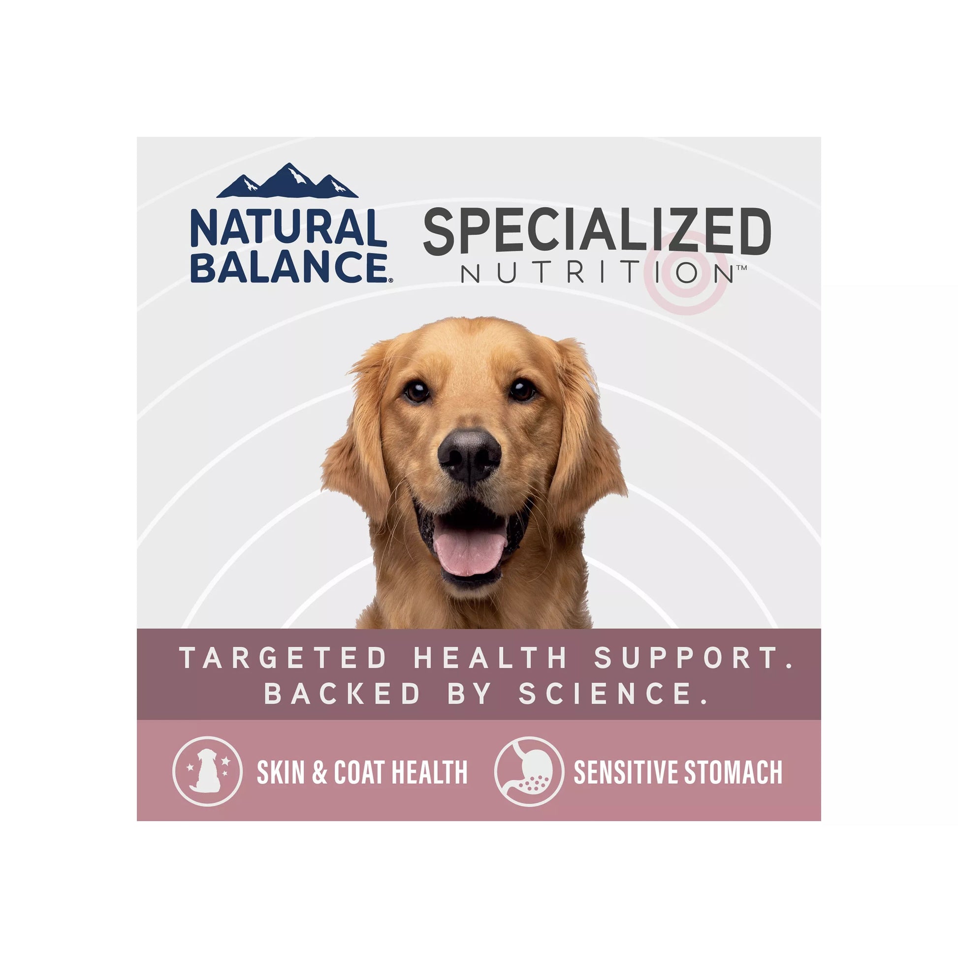 A smiling golden retriever appears on packaging for Natural Balance Specialized Nutrition Sensitive Skin & Stomach Formula Adult Salmon & Brown Rice Wet Dog Food, promoting targeted support for skin, coat, and digestive health.