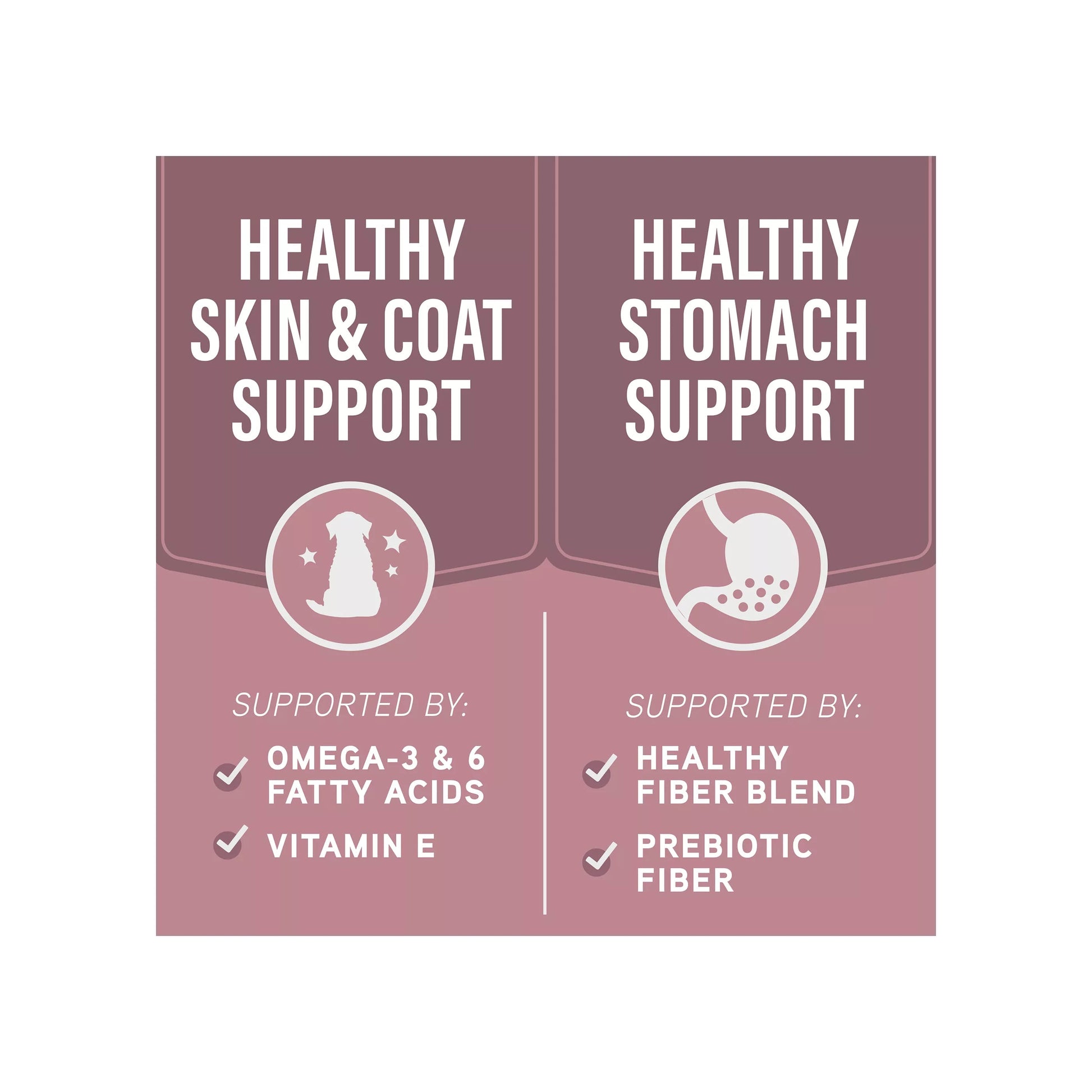Graphic with two sections: Natural Balance Sensitive Skin & Stomach Formula features a dog icon, Omega Fatty Acids from Salmon & Brown Rice, and Vitamin E; Healthy Stomach Support shows a stomach symbol, healthy fiber blend, and prebiotic fiber.