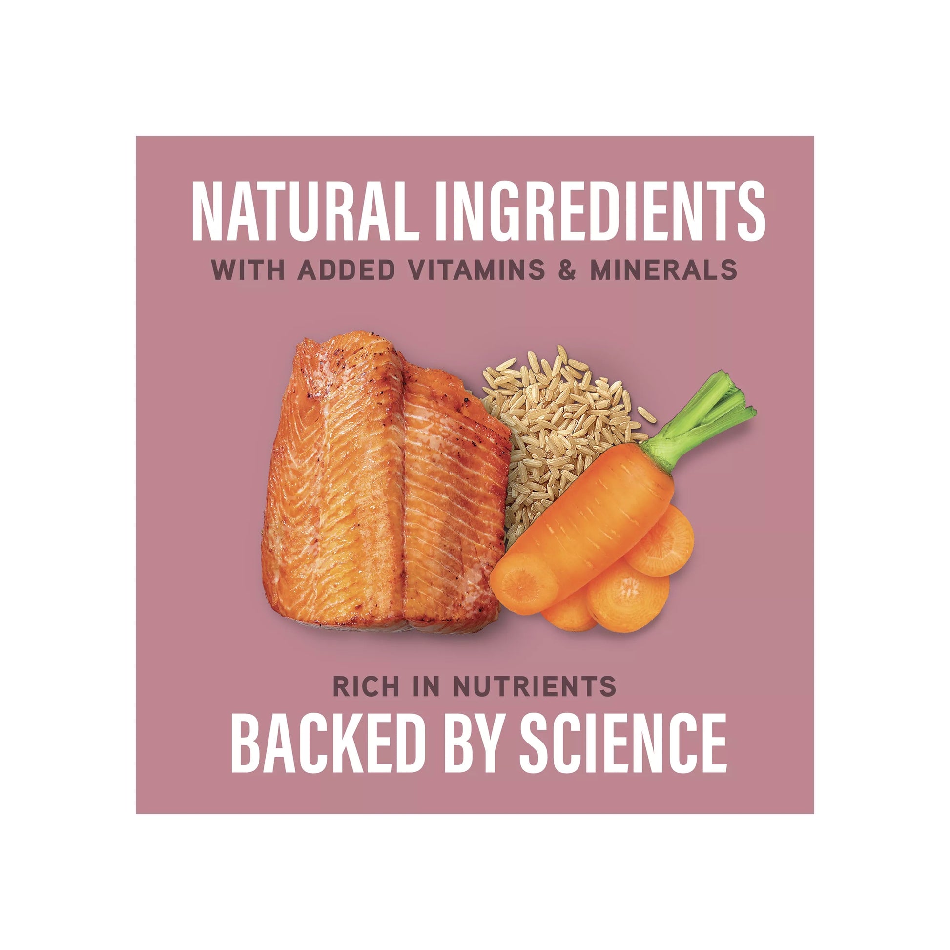 Natural Balance Specialized Nutrition Sensitive Skin & Stomach Formula Adult Salmon & Brown Rice Wet Dog Food features natural ingredients plus vitamins and minerals, with omega fatty acids. Nutrient-rich and backed by science.