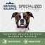 A brown and white dog looks forward under the Natural Balance logo. Text reads: Targeted health support, backed by science. Icons highlight digestive and immune benefits of Natural Balance Specialized Nutrition Lamb & Brown Rice Wet Dog Food.