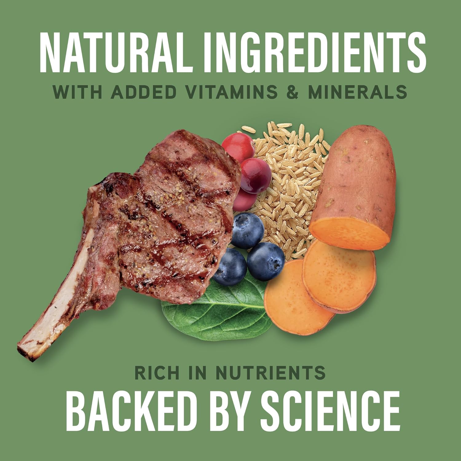 A collage of grilled meat, blueberries, spinach, brown rice, and sweet potato on green. Text: Natural Balance Specialized Nutrition Digestive & Immune Health Adult Lamb & Brown Rice Formula Wet Dog Food—rich in nutrients for immune support.