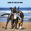 Two playful dogs tug on the Nocciola Interactive No-Stuffing Eel Toy – Tug, Snuffle, and Squeak as they run on a sandy beach with waves and blue sky. Above them, the text reads: GAME OF TUG-OF-WAR.