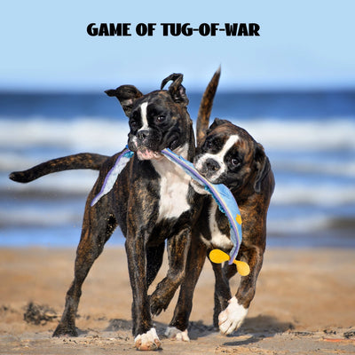 Two playful dogs tug on the Nocciola Interactive No-Stuffing Eel Toy – Tug, Snuffle, and Squeak as they run on a sandy beach with waves and blue sky. Above them, the text reads: GAME OF TUG-OF-WAR.