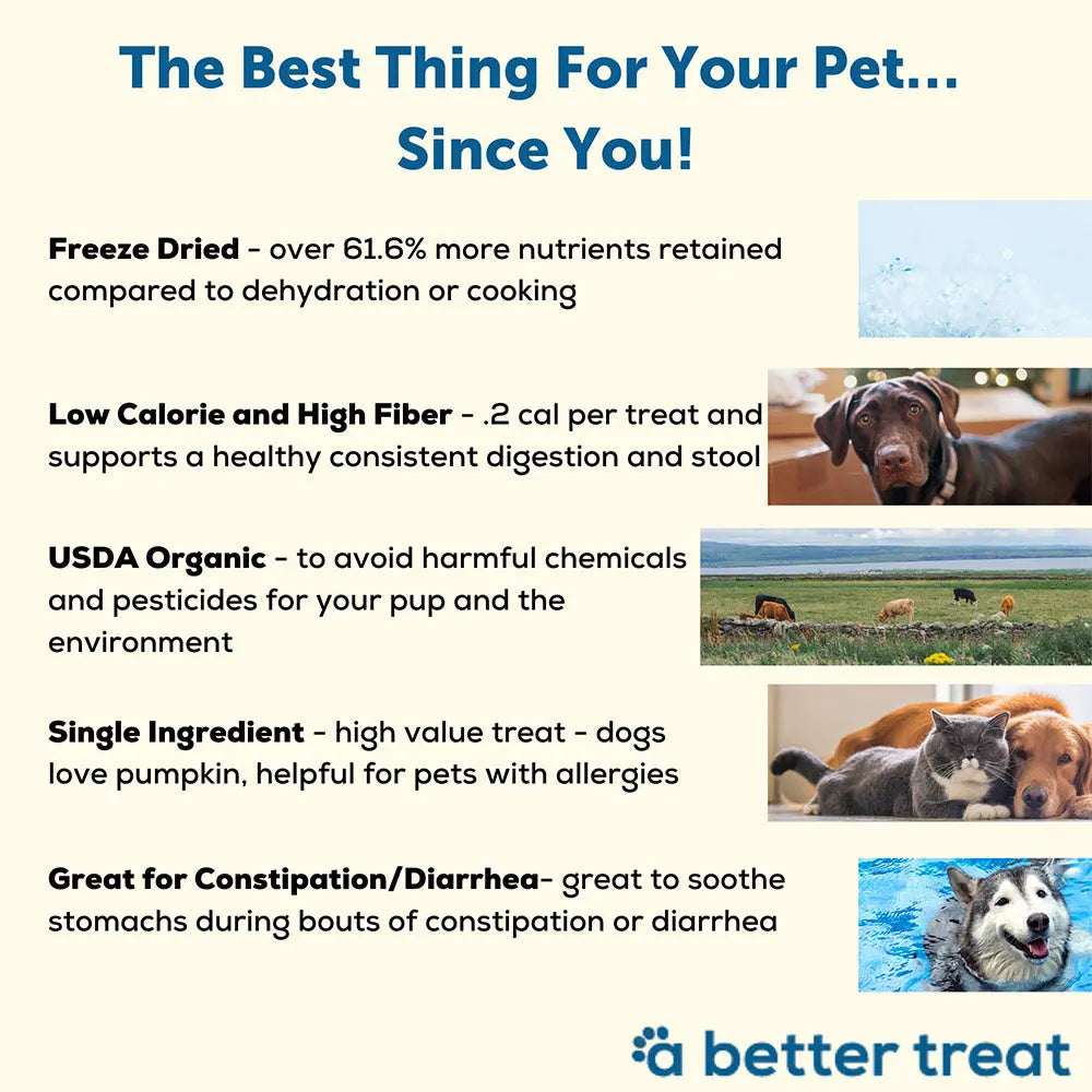 A Better Treat Freeze Dried Raw USDA Organic Pumpkin Dog and Cat Treats A Better Treat