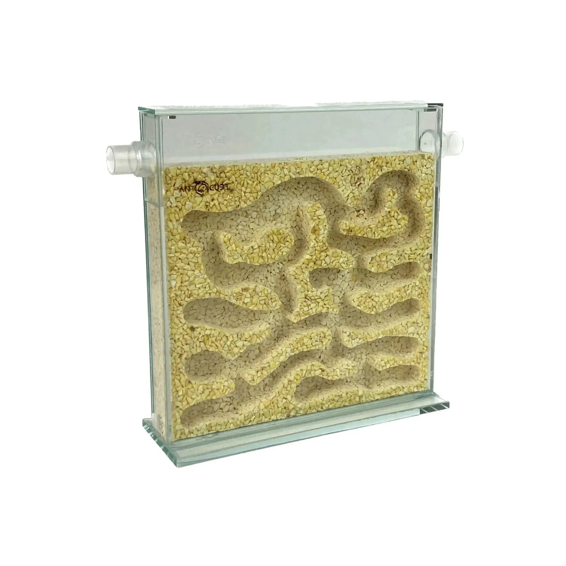 ANTCUBE - Popcorn Nest 20x20 - L Antcube