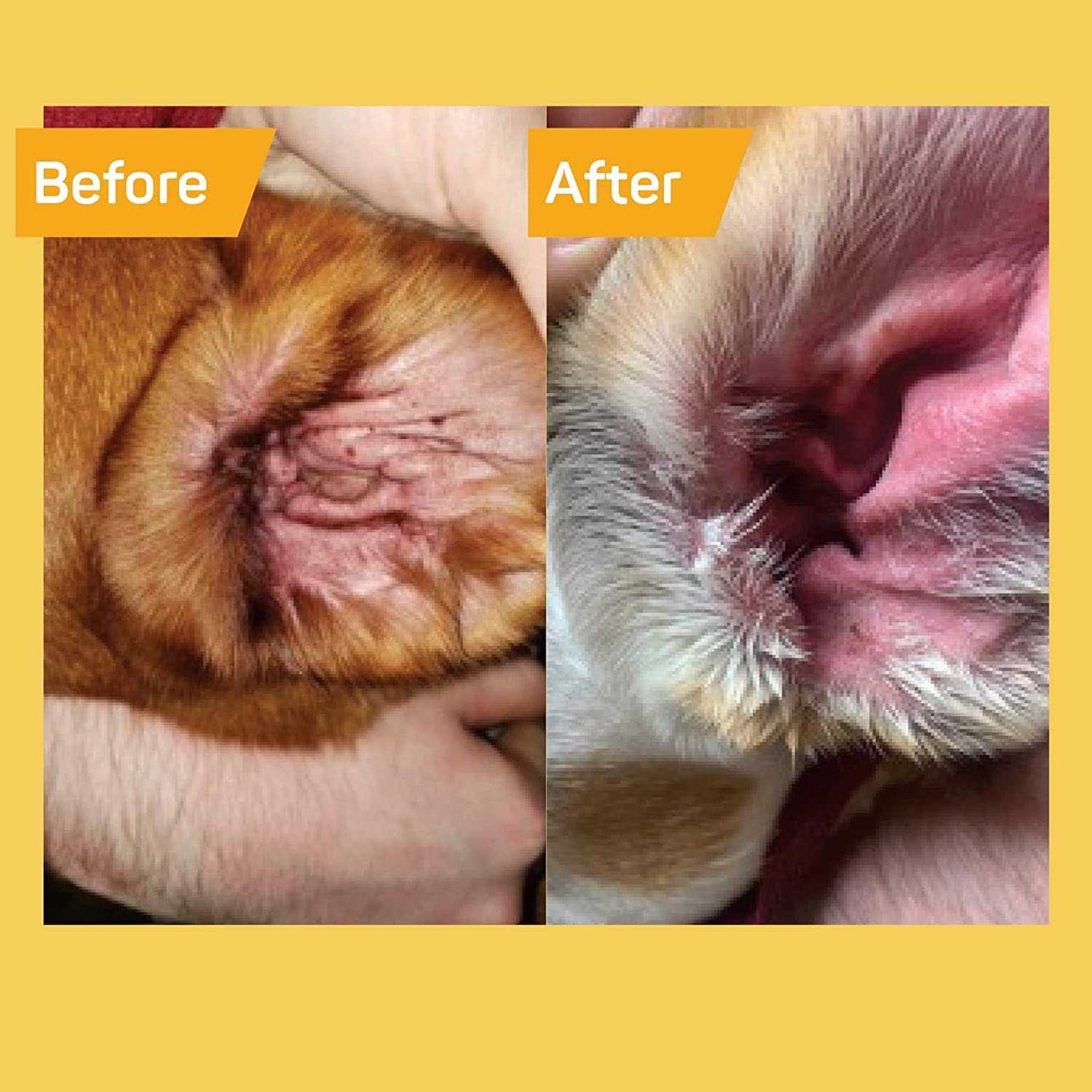 Absorbine Pet Silver Honey Rapid Ear Care Vet Strength Ear Treatment Absorbine Pet