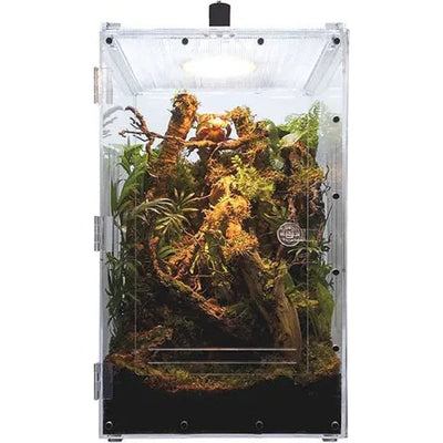 Acrylic Reptile Terrarium Double-Opening Enclosure for Lizards Spiders Geckos XLarge HerpCult