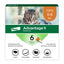 Advantage II flea treatment for small cats packaging featuring a tabby cat, includes six monthly doses