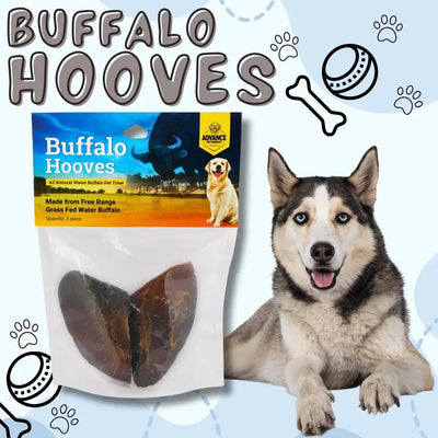 A husky sits beside Advance Pet Products All Natural Water Buffalo Hooves Dog Chew 3pc. The blue label features a dog image, bones, and paw prints, highlighting these tasty chews that help support your dogs oral health.