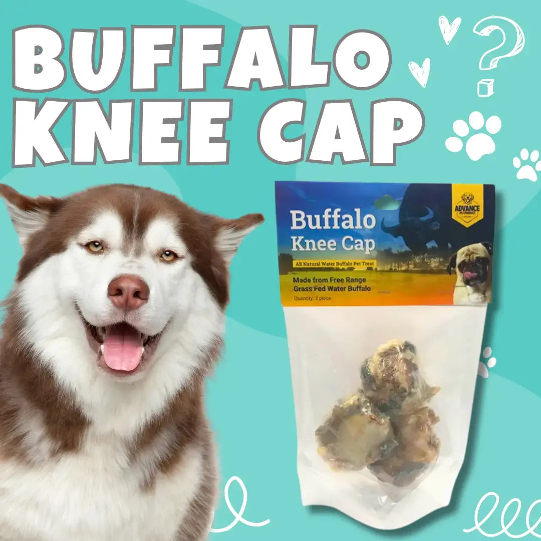 A happy brown and white husky sits beside a bag of Advance Pet Products All Natural Water Buffalo Kneecap Chew for Dogs 3 Pack, against a turquoise background with paw prints, doodles, and bold BUFFALO KNEE CAP text.