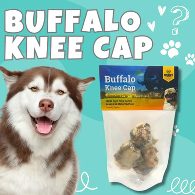 A happy brown and white husky sits beside a bag of Advance Pet Products All Natural Water Buffalo Kneecap Chew for Dogs 3 Pack, against a turquoise background with paw prints, doodles, and bold BUFFALO KNEE CAP text.