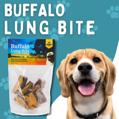 A cheerful beagle with its tongue out sits beside a bag of Advance Pet Products All Natural Water Buffalo Lung Bites for Happy, Healthy Chews, against a teal paw-print background with bold Buffalo Lung Bite text.