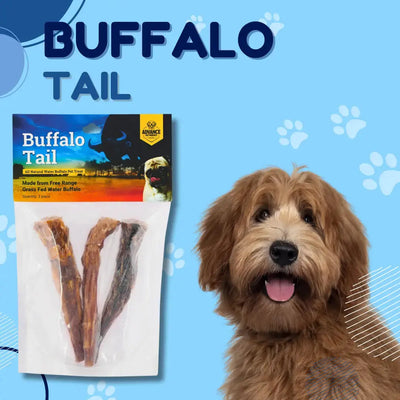 A package of Advance Pet Products All Natural Water Buffalo Tail Dog Chew is shown on a blue, paw-print background beside a happy brown dog. The label reads Buffalo Tail and displays three treats inside the bag.