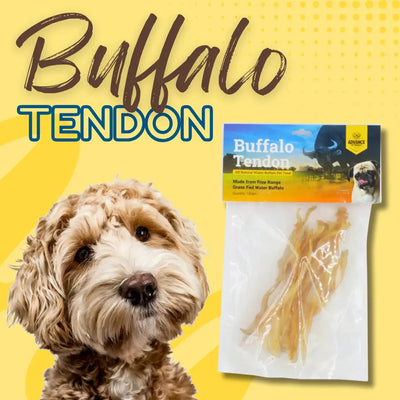 A fluffy dog stands before a yellow background with Buffalo Tendon text. Beside the dog is a clear Advance Pet Products All Natural Water Buffalo Tendon Chew package, showing dried tendons and promoting dental health for dogs.