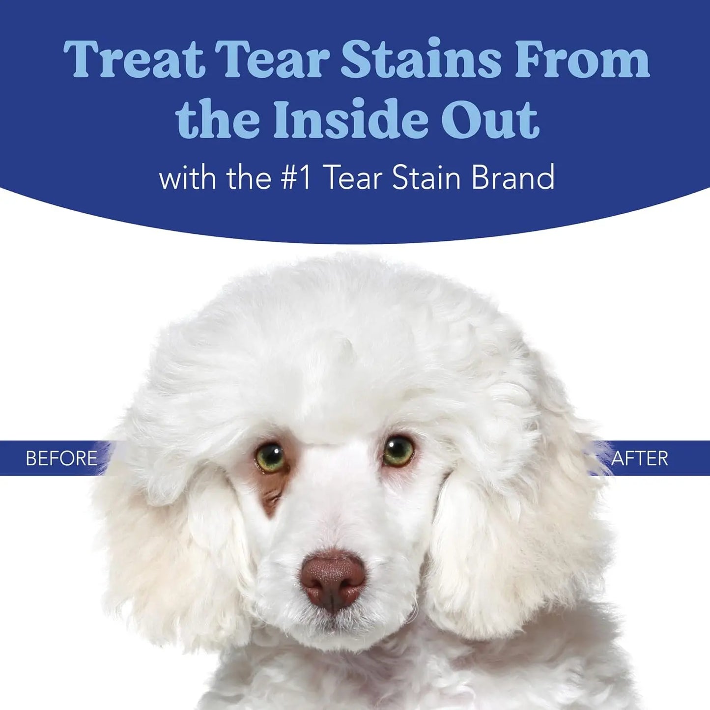 A white fluffy dog with tear stains under its left eye labeled Before and a clean right eye labeled After. Text above reads, Treat tear stains from the inside out with natural antioxidants in Angels Eyes Natural Plus Sweet Potato Powder Supplement.