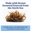 A pile of brown seaweed sits on a white background. Above, text reads, Angels Eyes Sea Sticks Multi-Benefit Dog Treats—made with North Sea brown seaweed for digestive health. Below, a blue box says the treats are made in the Netherlands with sustainable seaweed.