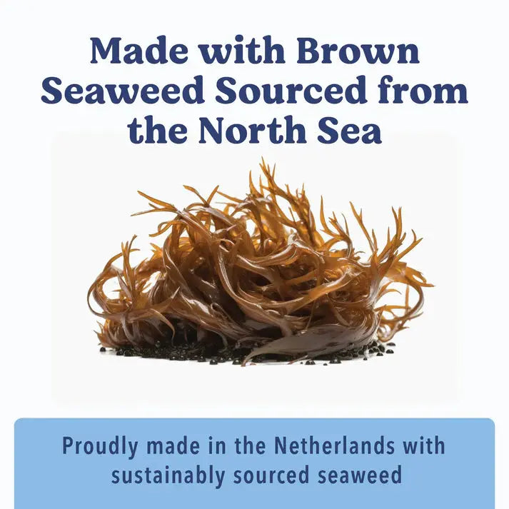 A pile of brown seaweed sits on a white background. Above, text reads, Angels Eyes Sea Sticks Multi-Benefit Dog Treats—made with North Sea brown seaweed for digestive health. Below, a blue box says the treats are made in the Netherlands with sustainable seaweed.